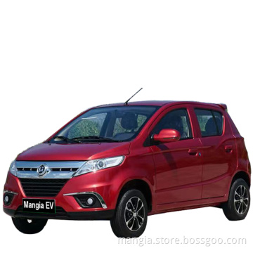 New energy adult electric vehicle 4 wheels cheap for sale High quality electric vehicle Mini SUV rechargeable